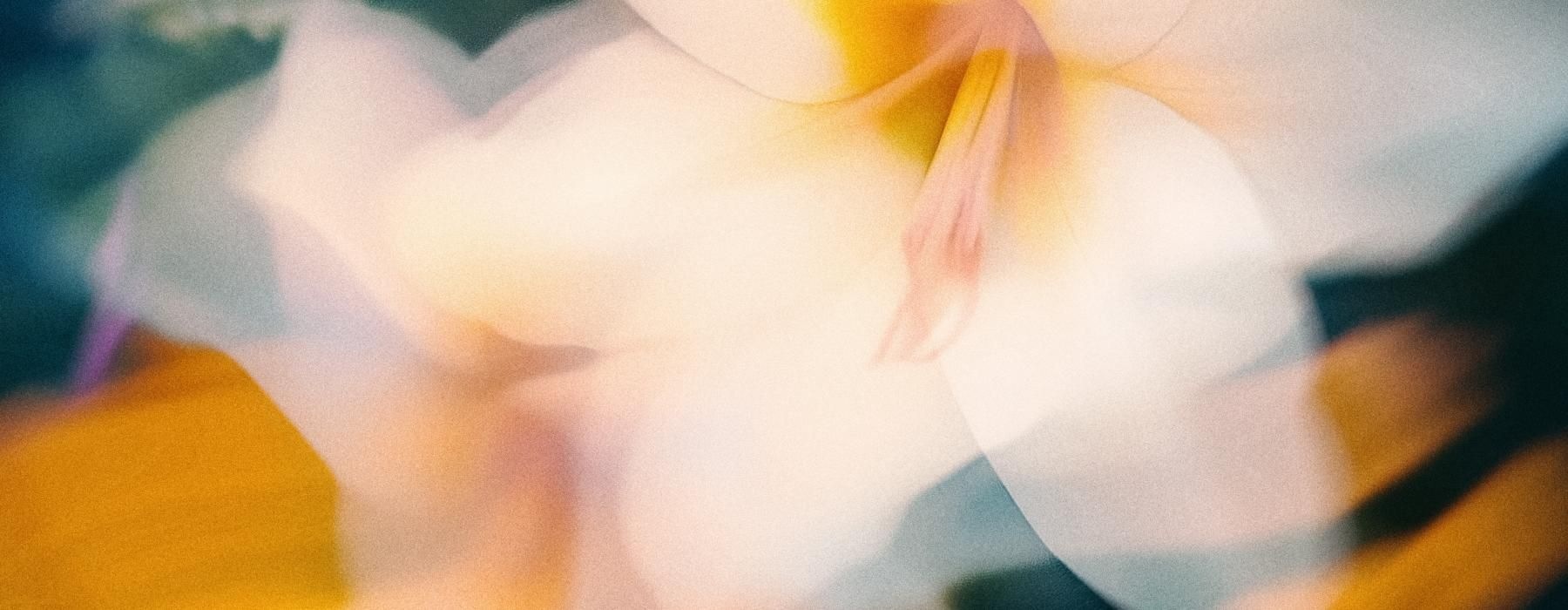 a close up of a flower